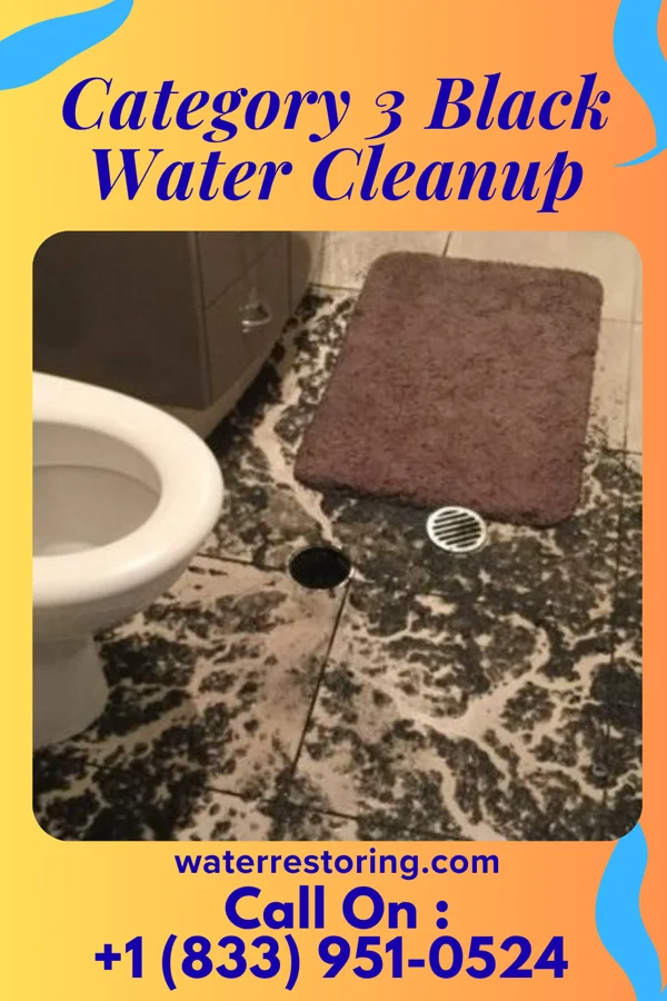 Category 3 Black Water Cleanup in Hopkins, MN