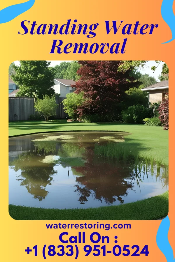 Standing Water Removal in Hopkins, MN